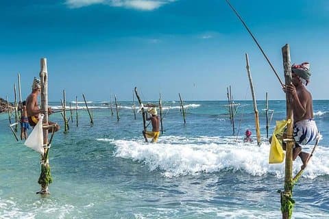 Galle Transfer from Airport or Colombo by private taxi