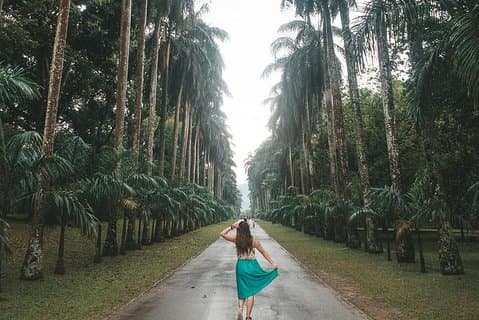 Descubre Sri Lanka en un tour de ocho días