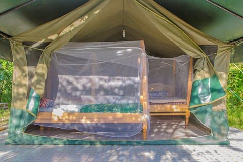 Safari di 7 giorni in Kenya