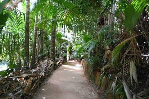 Palms and Pearls Full Day Tour