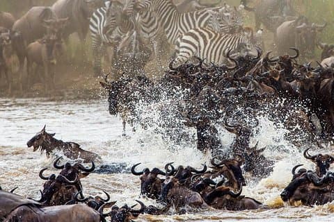 11-daagse Big 5-safari van Kenia en Tanzania in een 4x4-jeep