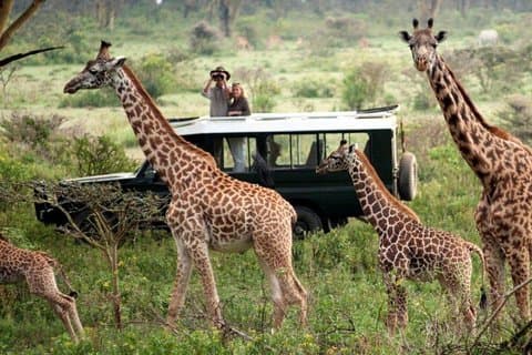 14-Days Kenya and Tanzania Camping Safari from Nairobi