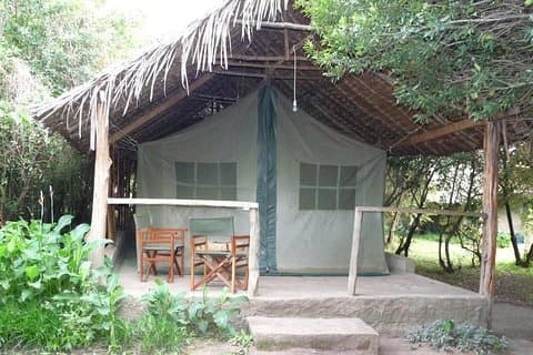 2 dager Maasai Mara Safari Holiday, Kenya