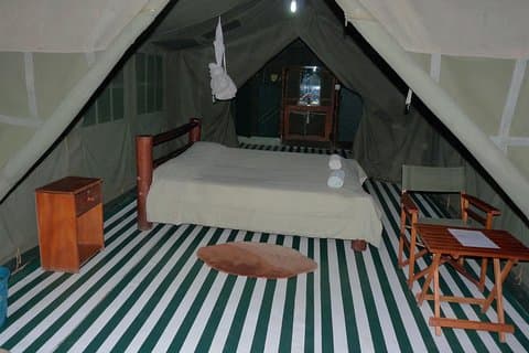 Tour Safari in Safari Lodge di 4 giorni in Kenya