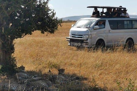 Safari de 7 días a los parques nacionales Amboseli, Naivasha, lago Nakuru y Masai Mara