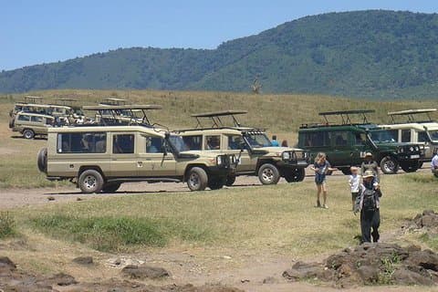 Sabor de 3 dias no Safári da Tanzânia (Parque Nacional Tarangire e Cratera Ngorongoro)