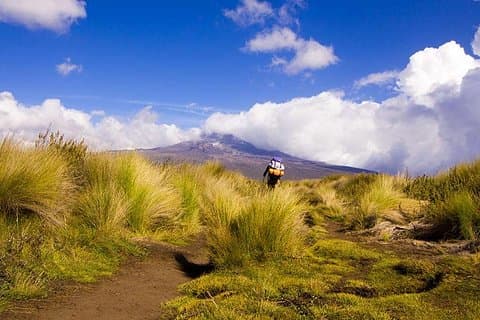 4 Tage Trekking in Mount Kenya
