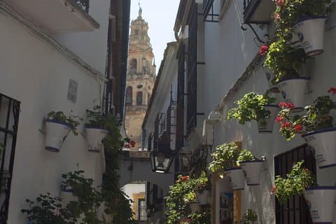 Visita il quartiere ebraico