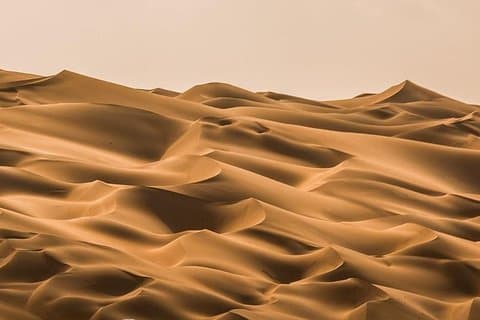 Privat Liwa öken Safari-tur med hel dag med lunch från Abu Dhabi