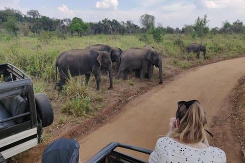 Hurulu Eco Park Private Safari