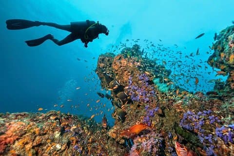 Dykning i Hurghada