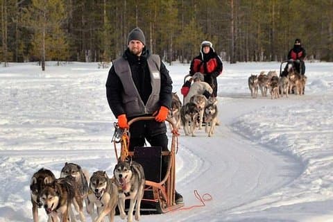 Husky Safari da Levi 2 KM o 5 KM con giro in slitta con Husky