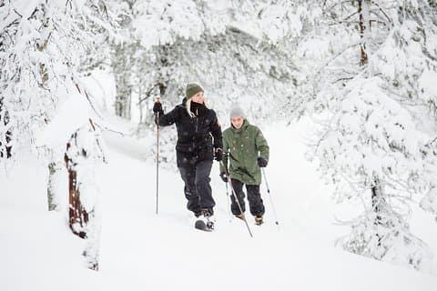 Klassisk vildmarksski i Pyhä-Luosto nationalpark