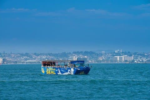 Seehundbeobachtungstour in San Diego