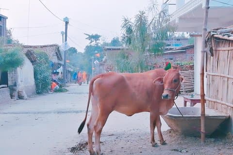 Landsbytur i Varanasi