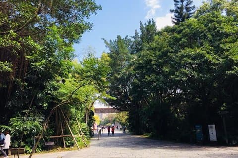 [Rental bus with English or Japanese guide] OK for small groups to 40 people Recommended for family and employee travel Taipei Free Sightseeing