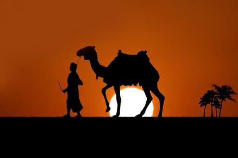 Bedouin nat kamel ridning og egyptisk fest på Sharm El Sheikh