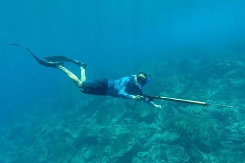 Oplev Spearfishing-kursus
