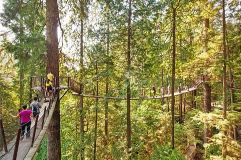 Visite privée de Vancouver, Capilano Suspension et Grouse Mountain