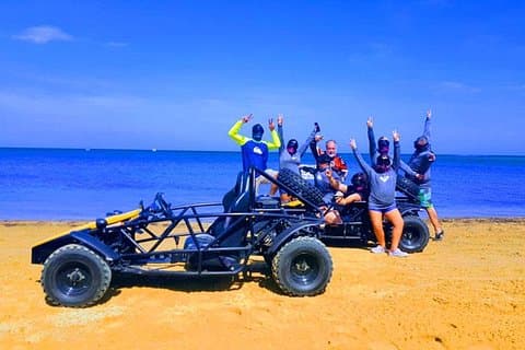 Roatan Buggy Adventure, Monkey & Sloth Park, Beach Pass e transferência privada