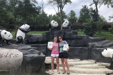 Chengdu Wolong Panda Base frivillig opplevelse tur
