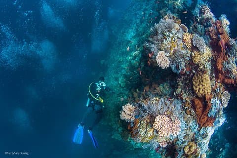 Bali Tauchtagesausflug - Manta Point/Tulamben Schiffswrack - Spaßtauchgang