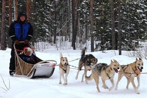 Lapponia renne e Husky Safari di Levi