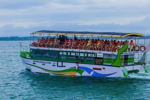 Excursion d'une journée d'observation des baleines et des dauphins, y compris l'usine de thé Handunugoda