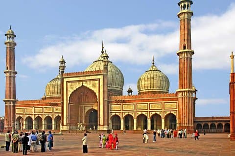 Tour di mezza giornata della vecchia Delhi