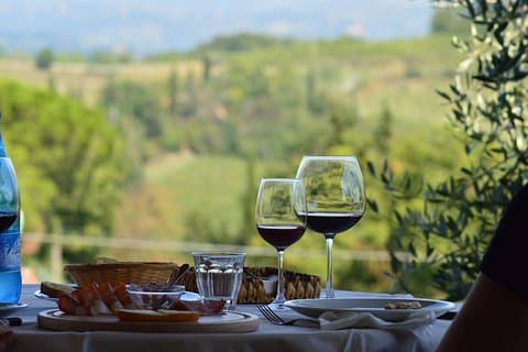 Vineyard visit with local appetisers and wine tasting