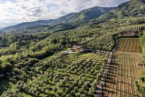Degustação de vinhos e azeites e passeio pela fazenda