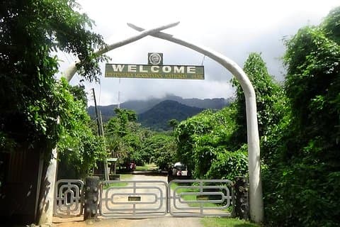 Game Drive Ved Mikumi National Park - Maasai Visit & Udzungwa Mountain Trekking