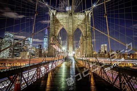 [Tournée japonaise] After Musical Night View Tour (Gratte-ciel de New York : vue spectaculaire sur le pont de Brooklyn)