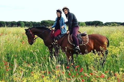 Santuario de caballos y paseo por el sendero
