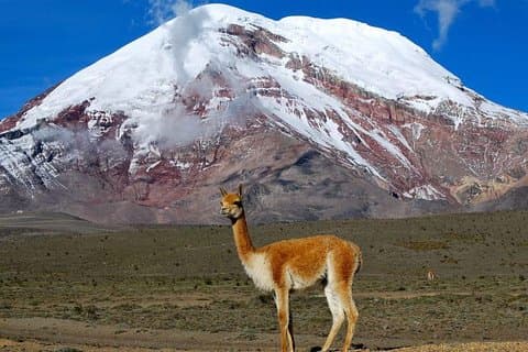 Eventyr i Chimborazo: Vandring og klatring fra Quito