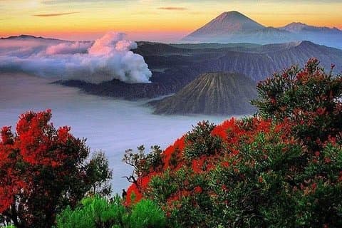 Tour privato: tour di Bromo Ijen da Bali