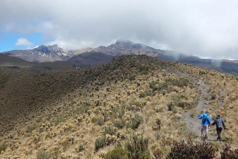Découvrez Frailejones dans le parc naturel national de Los Nevados (2 jours)