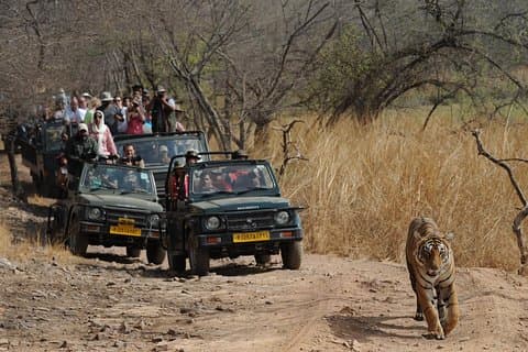 8 Tage Delhi Agra Ranthambore Udaipur Jaipur Delhi Private Reise