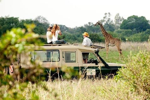 9-daagse Kenia Classic Lodge Safari