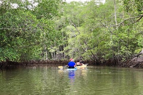 Kajak ins Herz des Nationalparks