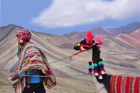 Desde Cusco: Montaña de 7 Colores 1 día + Comidas
