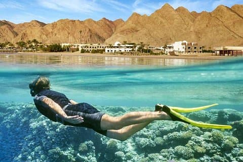 Paradise Island: heldags snorkling och öntur
