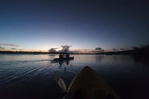 Night Kayaking Experience | Bioluminescent Lagoon in Fajardo 6pm