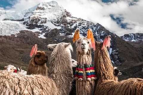 Ausangate Trek (5 dagen)