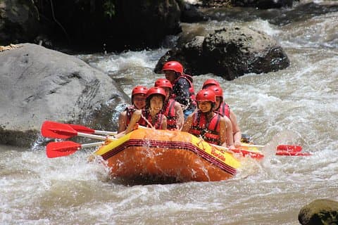Halvdag Rafting Adventure fra Bali