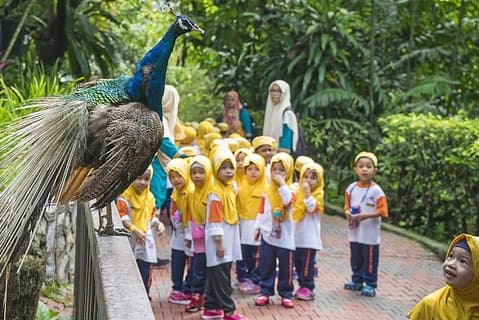 Kuala Lumpur Bird Park, Butterfly Farm og Taman Orkid inkluderer all inngang
