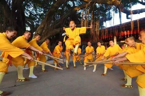 Excursión privada al templo Shaolin desde Chengdu en tren bala (termina en Zhengzhou)