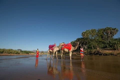 4 jours - Safari dans le parc national Samburu & Aberdares