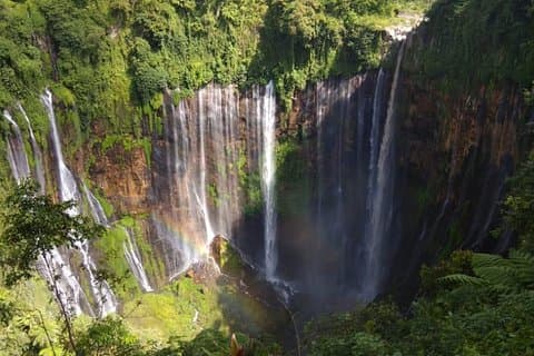 3日間-スラバヤ市経由のトゥンパクセウ・ブロモ・イジェン