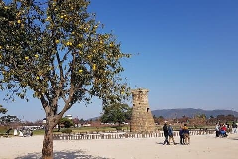 Die antike Stadt des brillanten Shilla-Königreichs - Gyeongju an einem Tag (oder über Nacht)